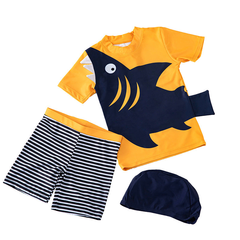 Children Swimwear - Boys Korean Baby Hot Spring Sunscreen Quick-Drying Small, Medium And Big Kids Split Seaside Beach Swimwear