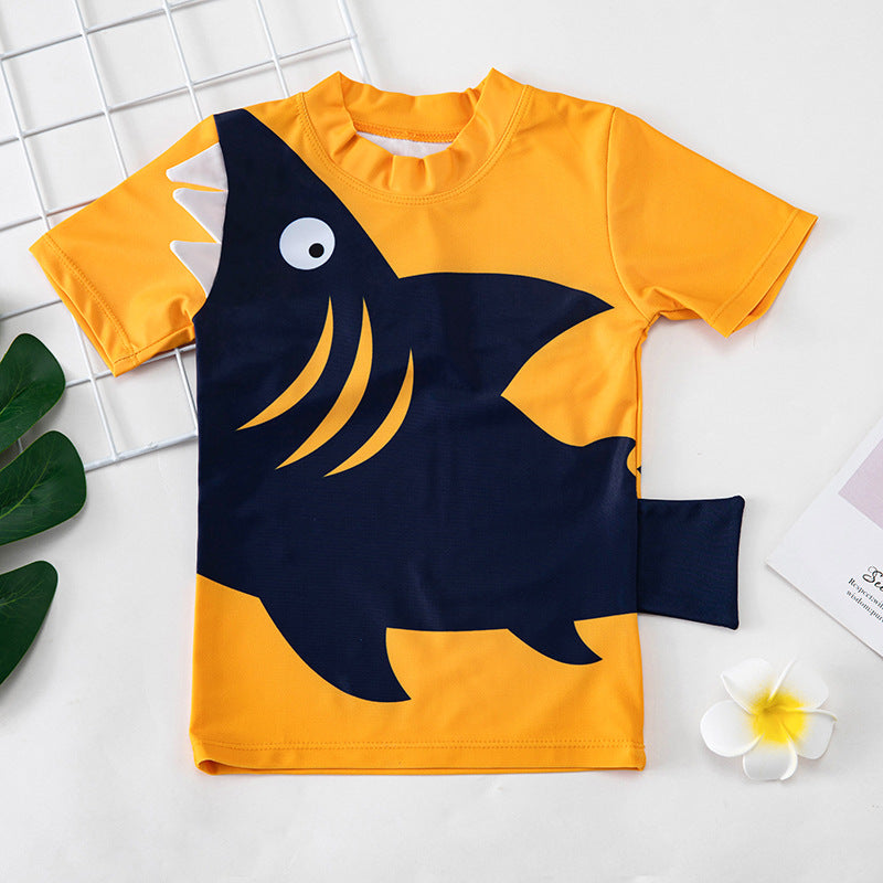 Children Swimwear - Boys Korean Baby Hot Spring Sunscreen Quick-Drying Small, Medium And Big Kids Split Seaside Beach Swimwear