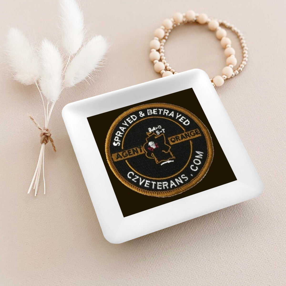 Panama Canal Zone veterans sprayed and betrayed dish for your keys