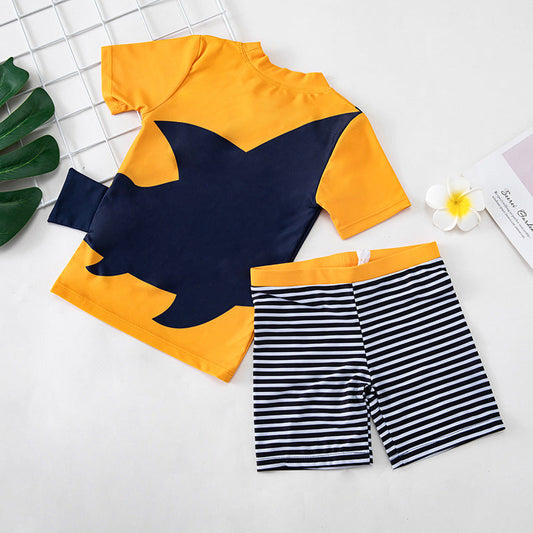 Children Swimwear - Boys Korean Baby Hot Spring Sunscreen Quick-Drying Small, Medium And Big Kids Split Seaside Beach Swimwear