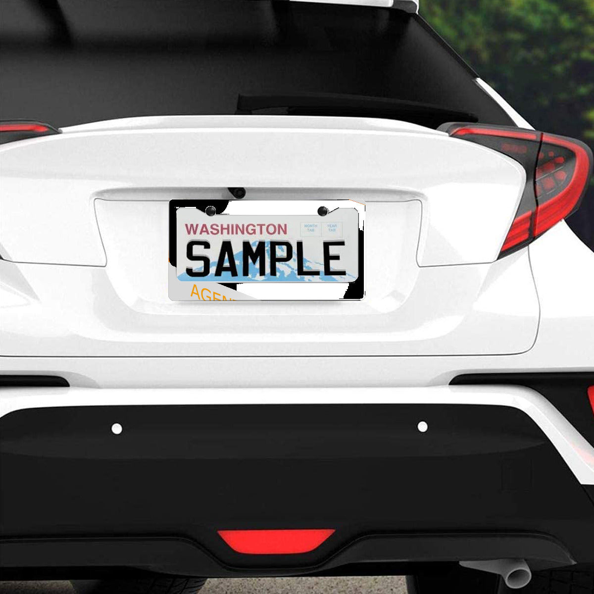 Standard 2-hole U.S. License plate frame cover aoinpanama.com - cz veteran