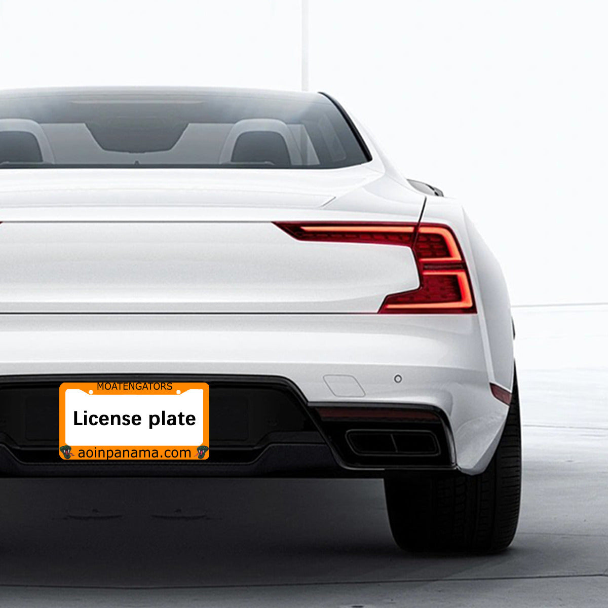 MOATENGATORS license plate frame with aoinpanama.com