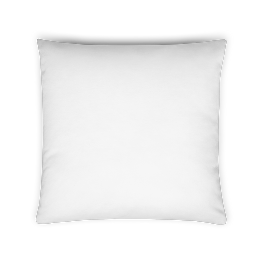 Pillows - Home decor - Monogrammed pillows - your own monogram