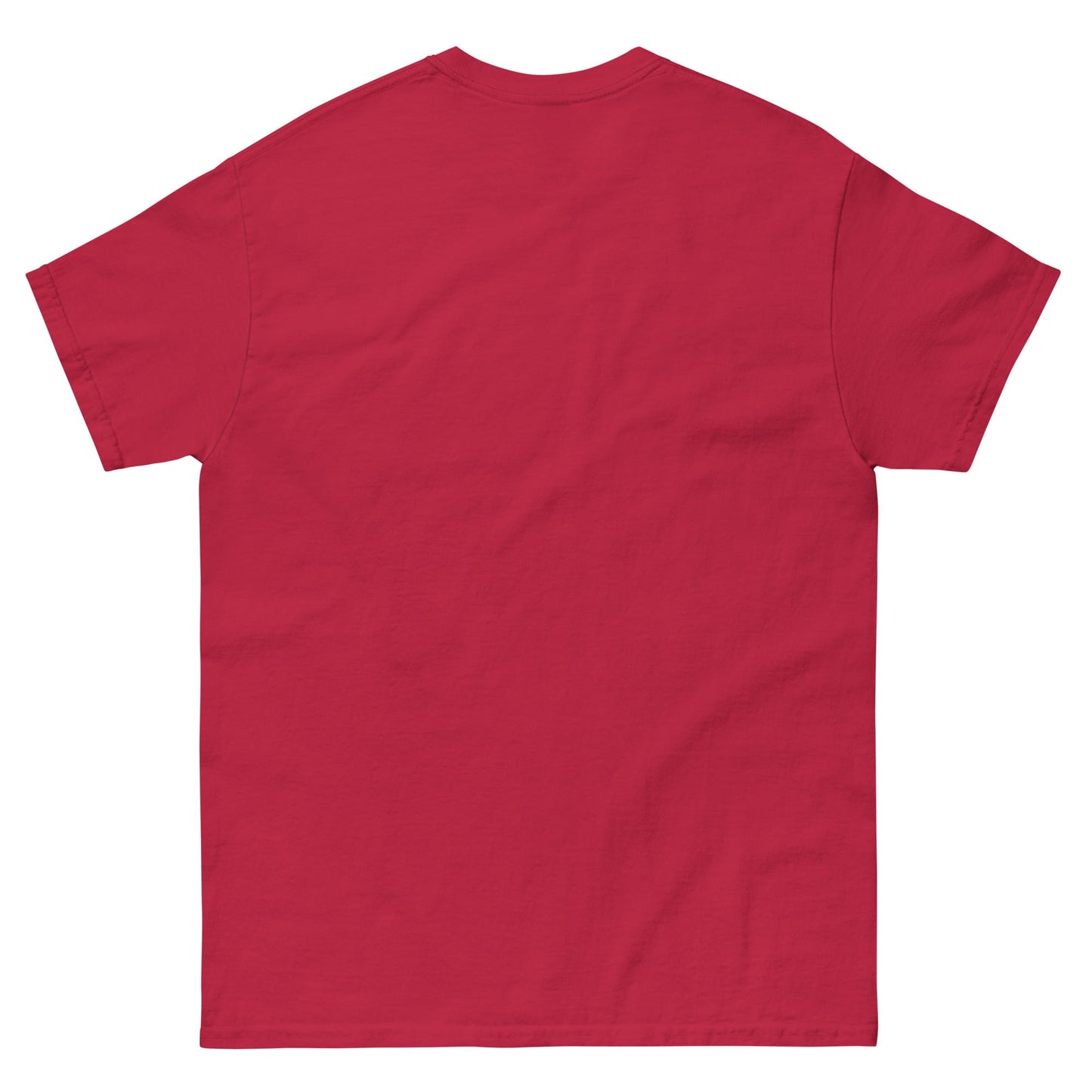 Unisex classic tee with a bold patriotic design with a bold message ao in panama before and after Vietnam